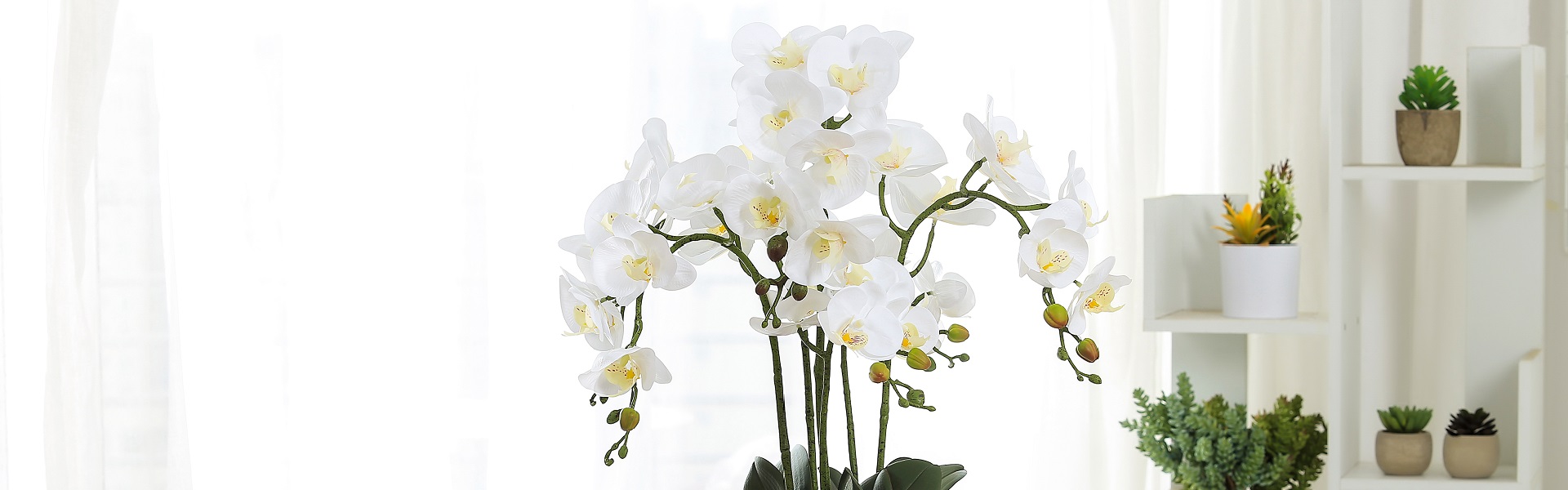 Kunstige planter, kunstige succulenter, kunstig blomst,Huizhou Baifeng Arts&Crafts Co.,Ltd.