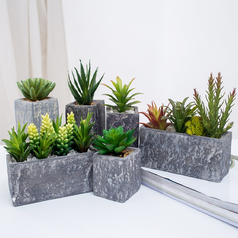 Engrossalg Potted Artificial Succulent Plant