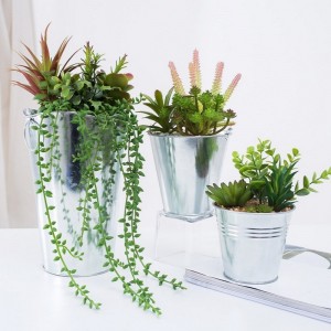 Factory Direct Supply Artificial Succulent i Iron Pot