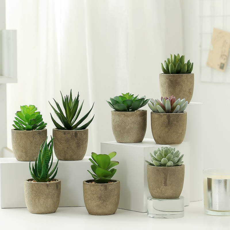 Hot Selling Artificial Succulent Plant i Paper Pulp Pot