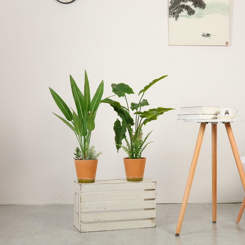 Moderne stil høj kvalitet kunstig plante i pot til salg