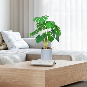 Factory leverer direkte varm salg kunstig grøn dekorative med flot udseende og reel berørt følelse