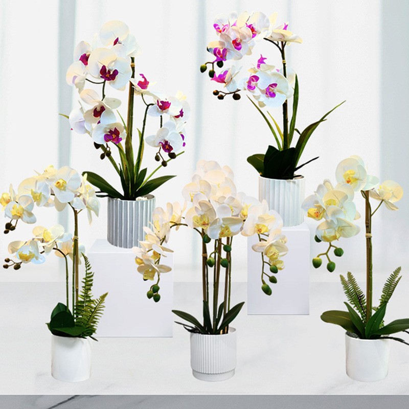 Engros ægte touch hvid kunstig sommerfugl orkidéblomst i hvid gryde